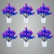 Pack Of 6__Jdtraderspoint