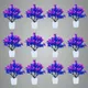 Pack Of 12__Jdtraderspoint