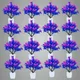 Pack Of 16__Jdtraderspoint