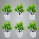 Pack Of 6__Jdtraderspoint