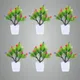 Pack Of 6__Jdtraderspoint