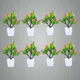 Pack Of 8__Jdtraderspoint