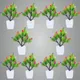 Pack Of 10__Jdtraderspoint