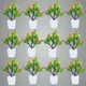 Pack Of 12__Jdtraderspoint