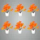 Pack Of 6__Jdtraderspoint