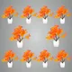 Pack Of 10__Jdtraderspoint