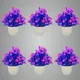 Pack Of 6__Jdtraderspoint