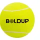 SINGLEPC__BOLDUP