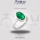 Panna__Viraj Sales