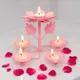 Pink Royal__The Arabian  Cottage
