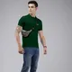 Dark Green__The Eg Store