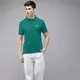 Green__The Eg Store