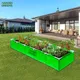 Pack Of 1__Anandigreens