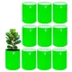 Pack of 10__Anandigreens
