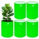 Pack of 5__Anandigreens