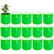 Pack of 15__Anandigreens