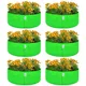 Pack Of 6__Anandigreens
