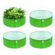 Pack Of 4__Anandigreens