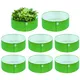 Pack Of 8__Anandigreens