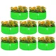 Pack of 8__Anandigreens