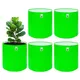 Pack of 5__Anandigreens