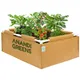 Pack Of 1__Anandigreens