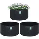 Pack of 3__Anandigreens