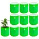 Pack Of 10__Anandigreens