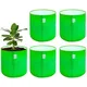 Pack Of 5__Anandigreens