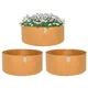 Pack Of 3__Anandigreens