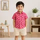 Pink__Ivory Trends