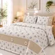 Beige, Blue, Ivory