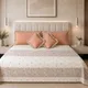 Rusty Peach__Aaram Homes