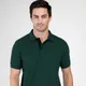 Green__Tailorn