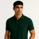 Green__Tailorn