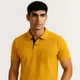 Yellow__Tailorn