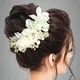 White__ANSH