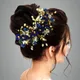 Blue__ANSH