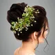Light Green__ANSH
