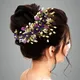 Purple__ANSH