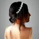 Silver__ANSH