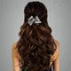 Silver__ANSH