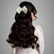 White__ANSH