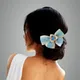 Blue__ANSH