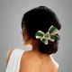 Dark Green__ANSH