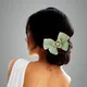 Sea Green__ANSH
