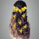 Yellow__ANSH