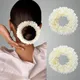 White__ANSH