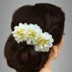 Cream__ANSH