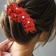 Red__ANSH